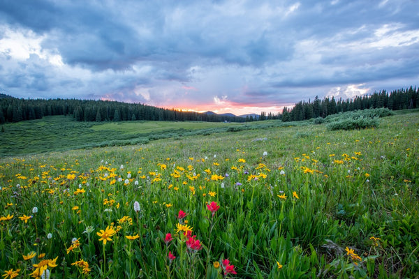These Mood-Boosting Tips Will Brighten Your Day Featured Image